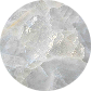 ellipse 179