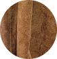 ellipse 186